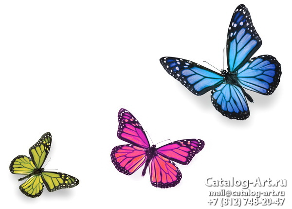  Butterflies 65